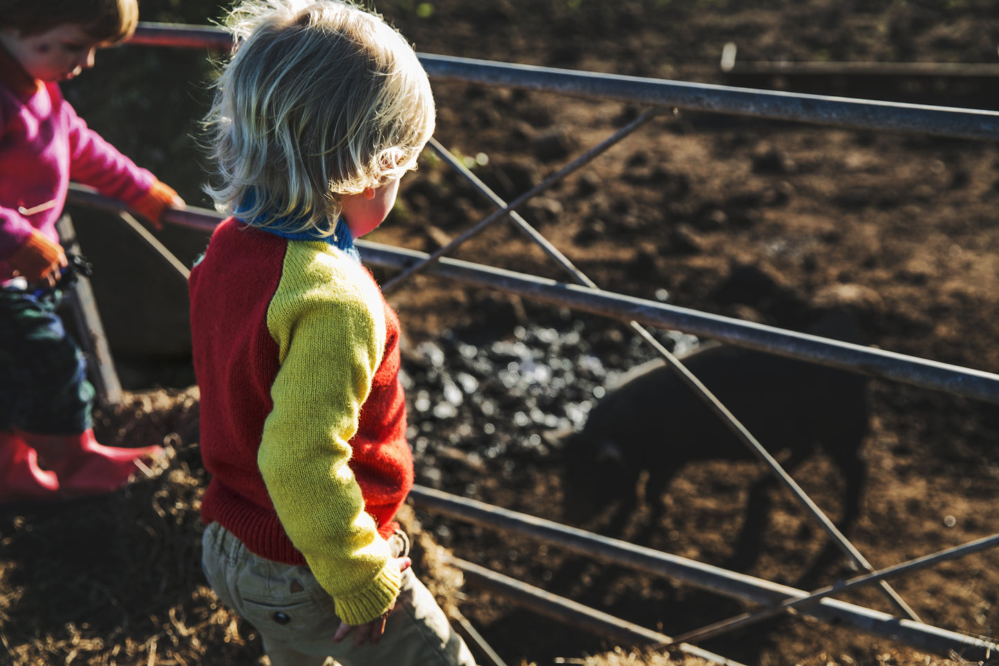 Children’s Shetland Raglan Jumper - The Circus