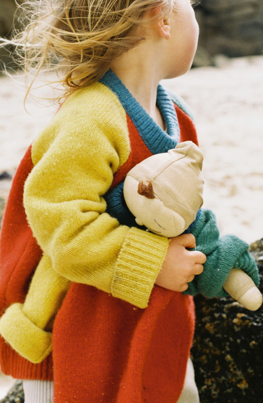 Children’s Shetland Raglan Jumper  - The Circus