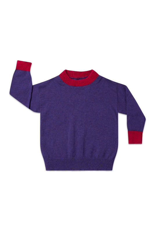 Children’s British Wool Raglan Jumper - The Jewel